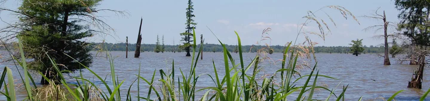 COTTONSHED PARK (AR) campground