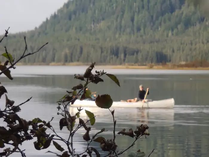 SITUK LAKE CABIN campground