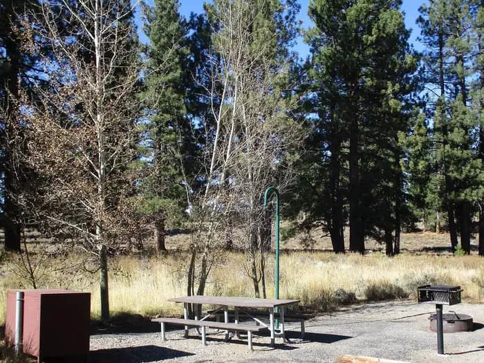 Alpine Meadow Campground in California