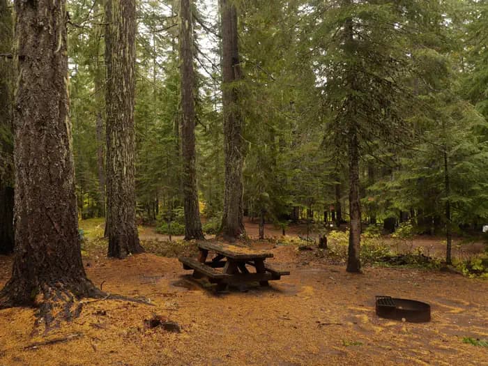 Peterson Prairie Campground campground in Washington