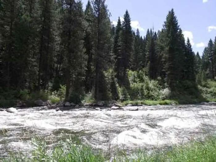 Cold Springs Campground - Boise NF (Id) in Idaho