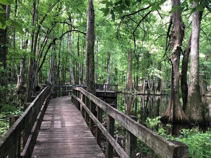 PICKENSVILLE CG (PICKENSVILLE AL) campground