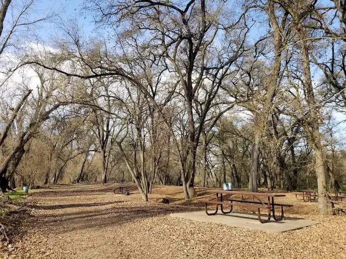 Valley Oak Recreation Area campground
