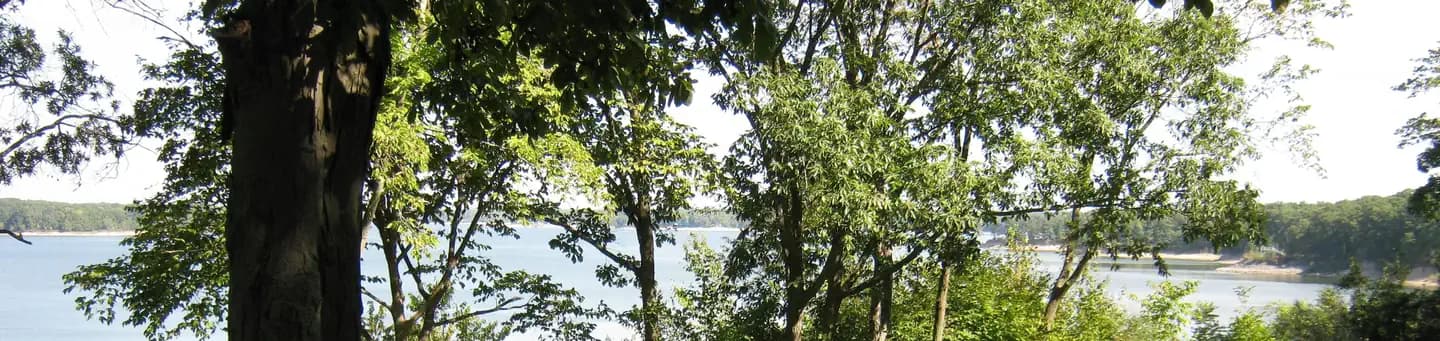 Dam East Picnic Shelter (Shelbyville) campground
