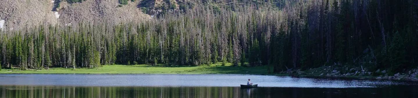 MOOSEHORN campground in Utah