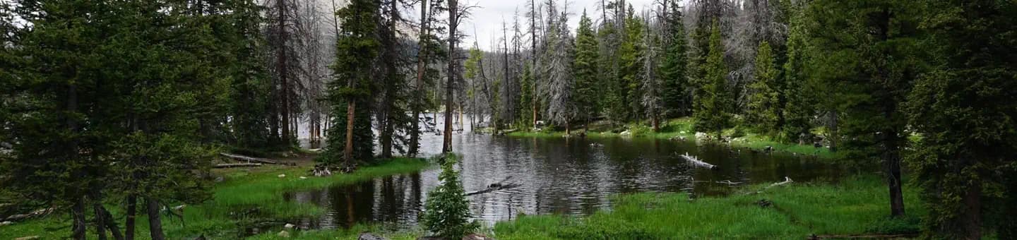 TRIAL LAKE CAMPGROUND campground in Utah