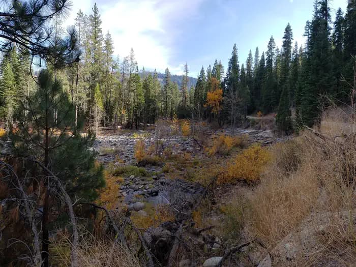 Ahart Campground in California
