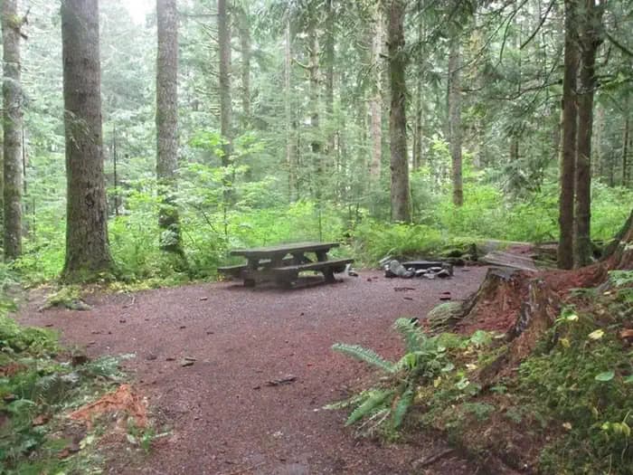 Tinkham Campground campground in Washington