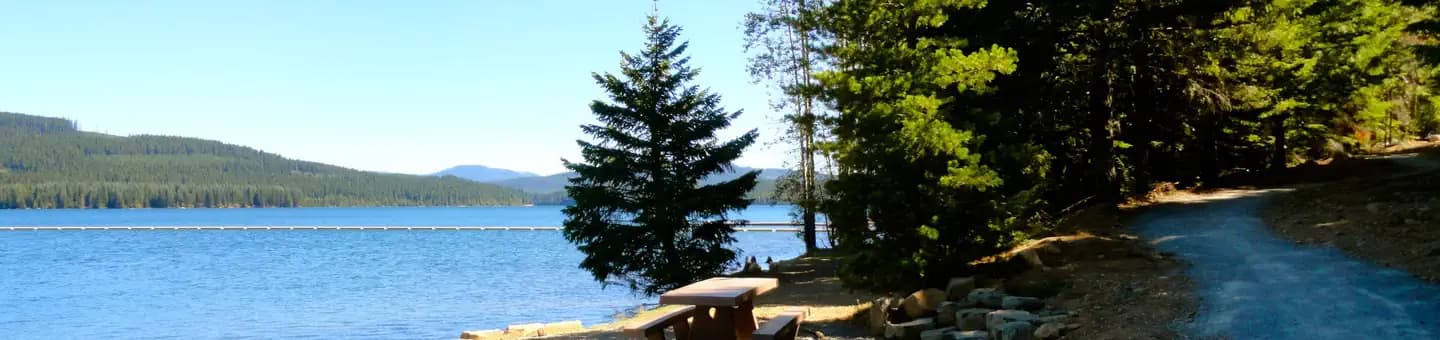 Pine Point Campground (Timothy Lake, OR) campground in Oregon