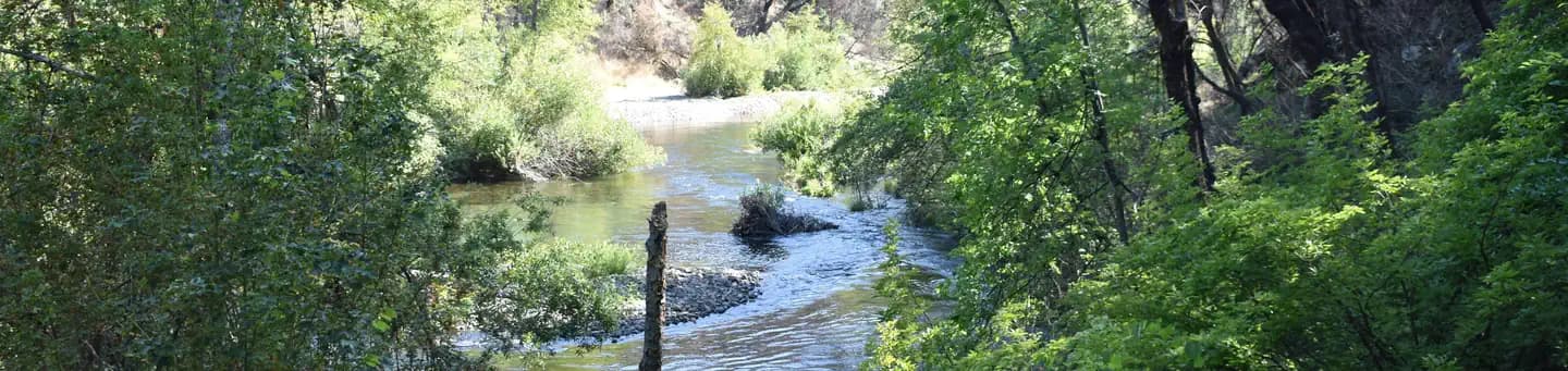 Peltier Bridge Primitive Campground in California