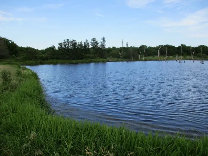 BLUE BILL POINT campground