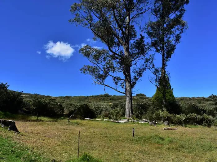 Hosmer Grove Campground campground