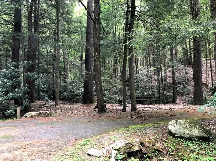 Hurricane Campground in Virginia