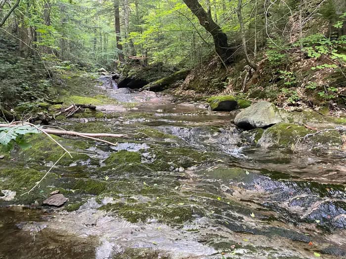 CHITTENDEN BROOK CAMPGROUND campground