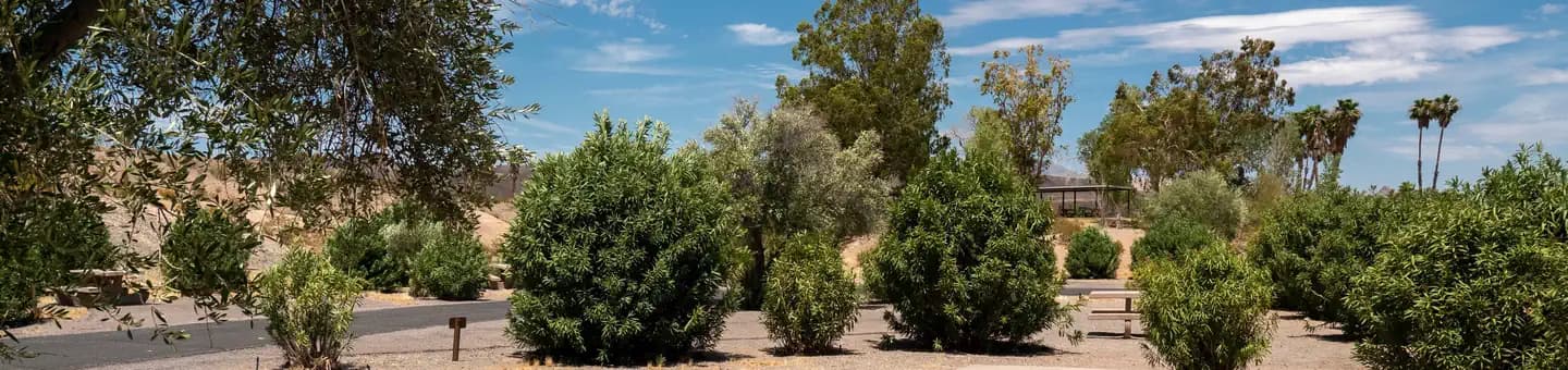 Callville Bay Campground campground