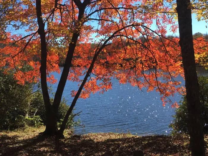 Julian Price Campground in North Carolina