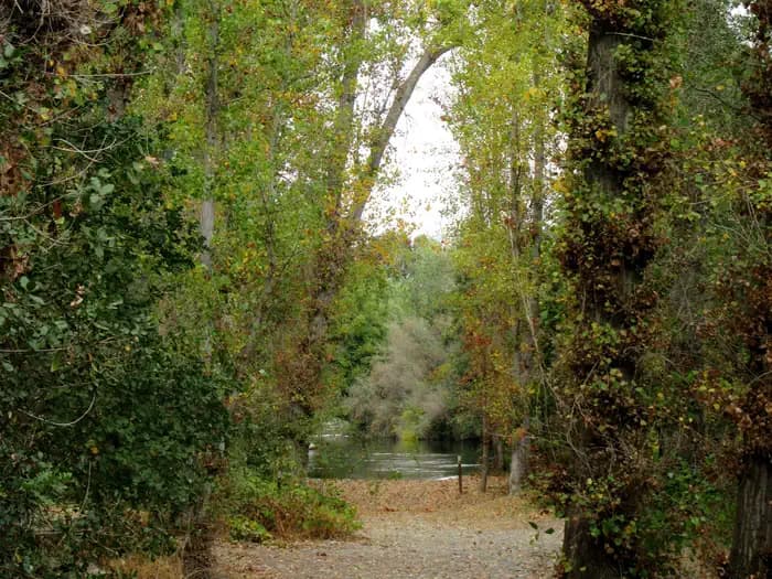Horseshoe Road Recreation Area campground in California