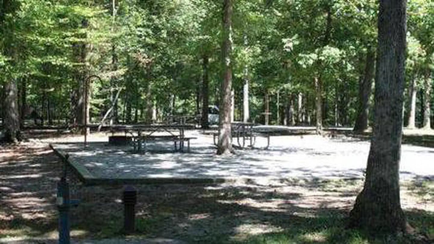 Mammoth Cave Campground in Kentucky