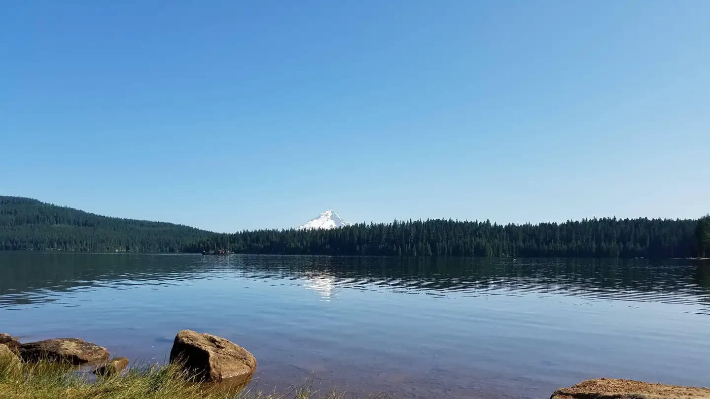 Gone Creek Campground (Timothy Lake, OR) campground in Oregon