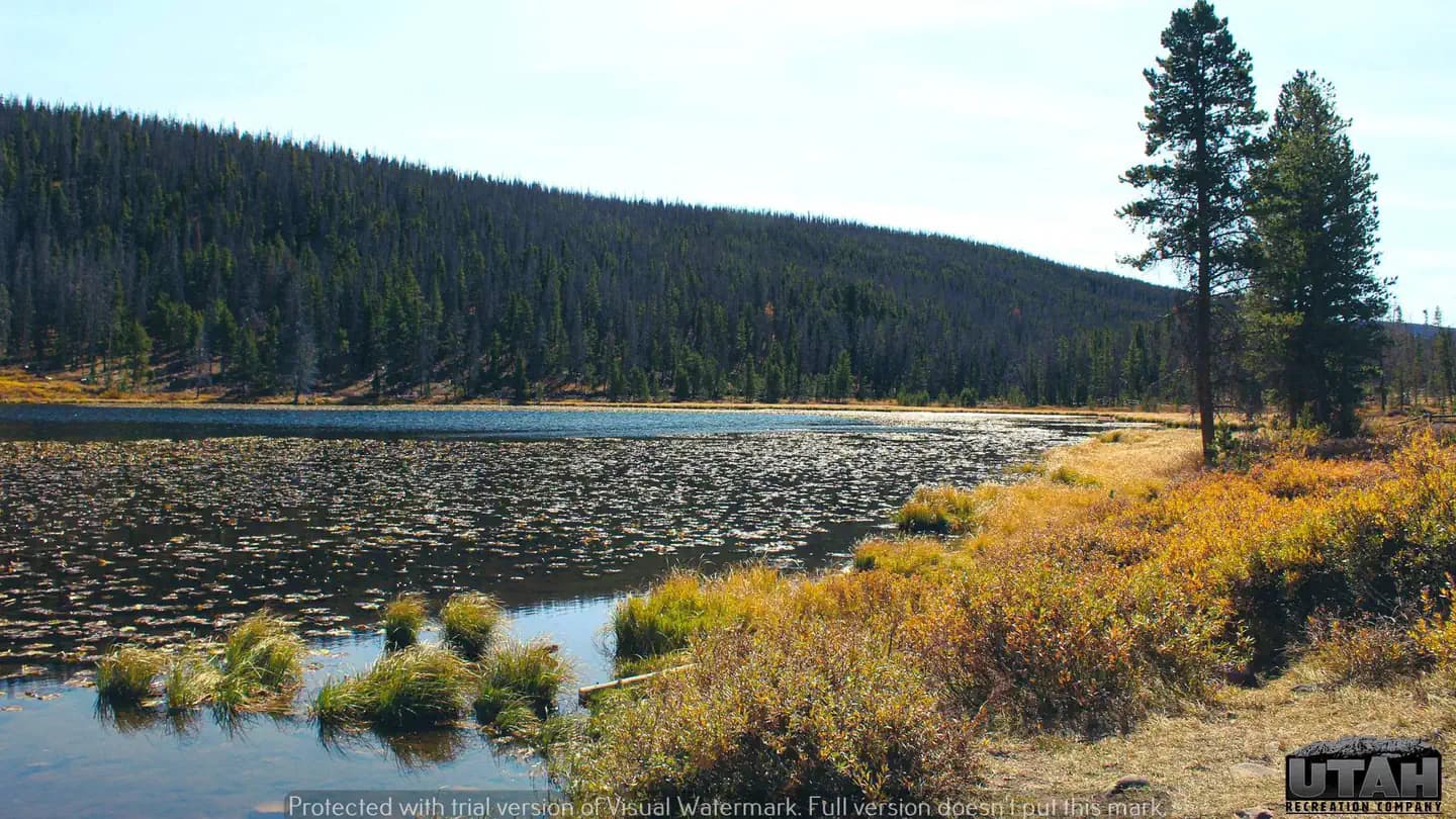 Bridger Lake Campground in Utah