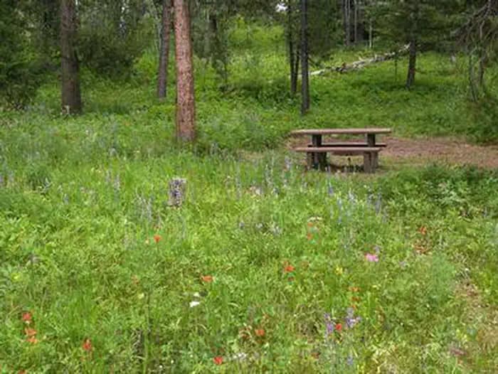 BEAVER CREEK CAMPGROUND campground