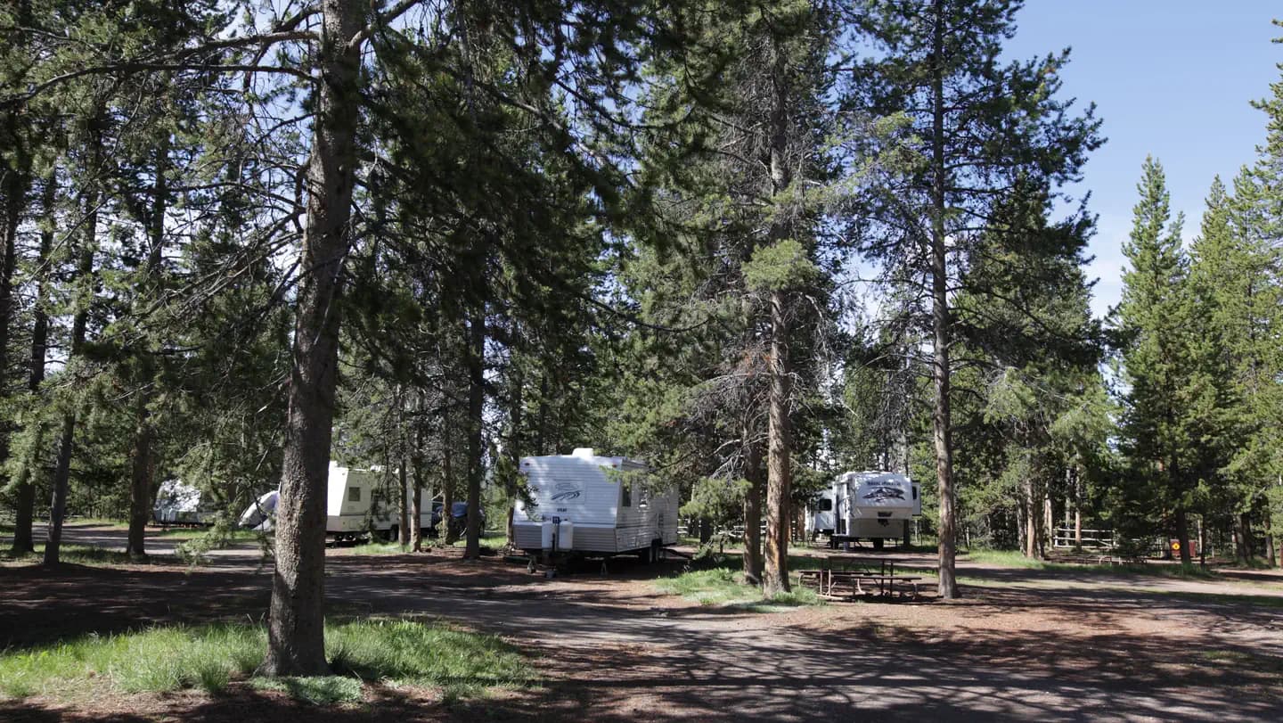 Headwaters Campground at Flagg Ranch in Wyoming