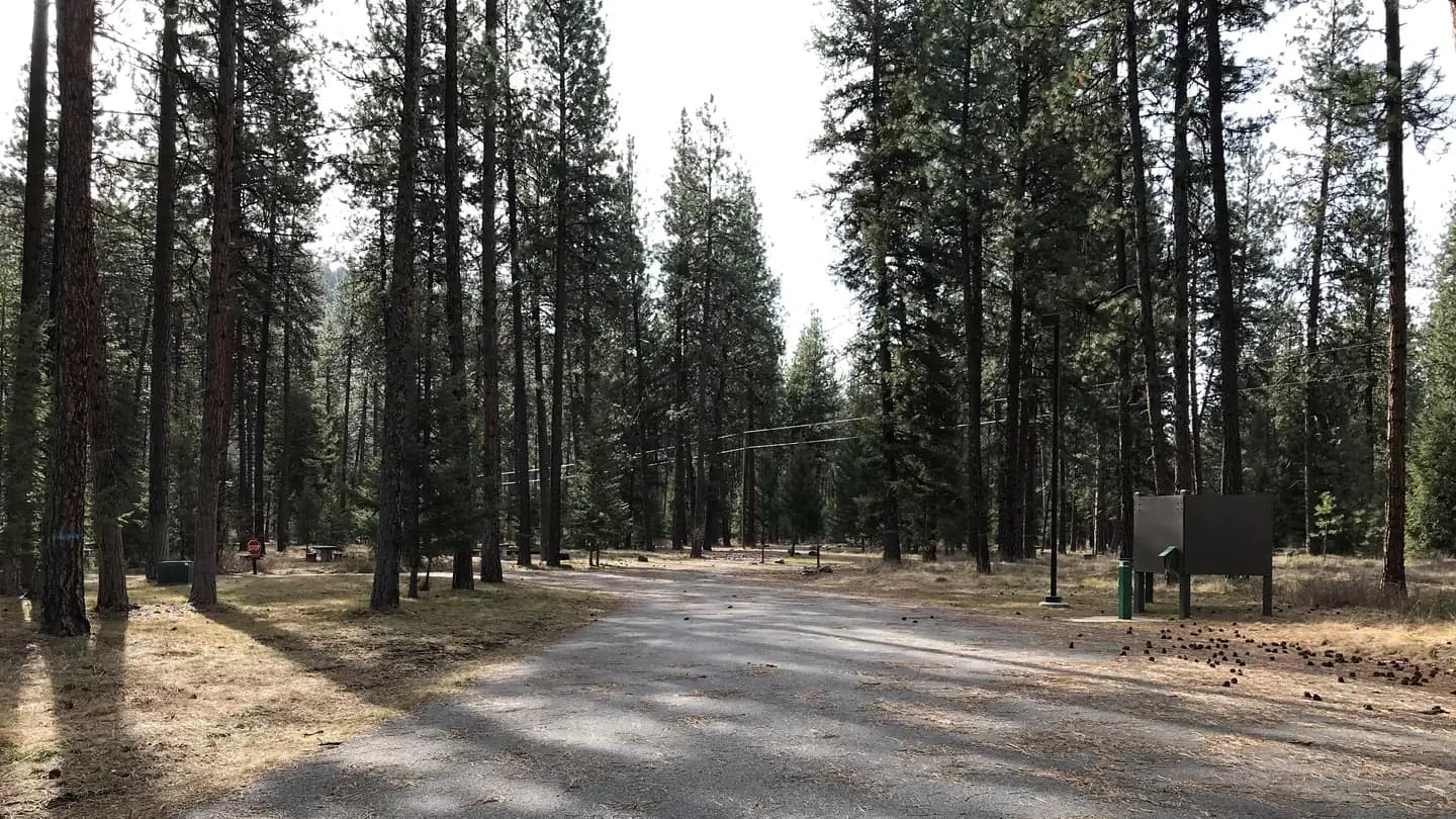Quartz Flat Campground (MT) campground