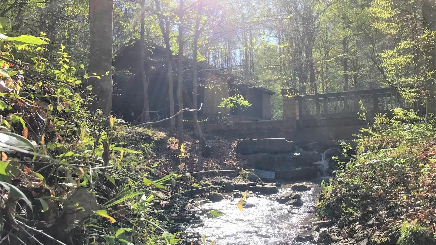 BURCHFIELD BRANCH PARK campground