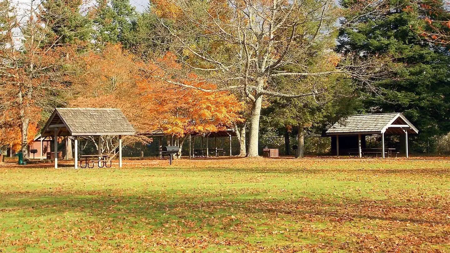 Picnic Vista campground