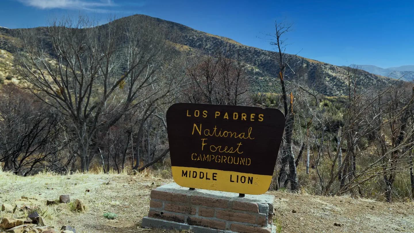 Middle Lion Campground in California