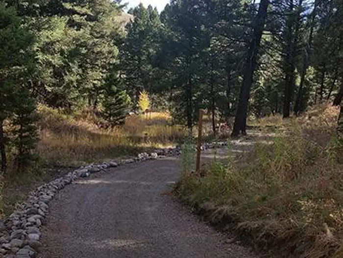 STODDARD CREEK CAMPGROUND campground