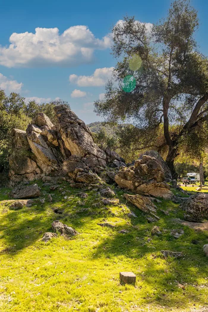 Paradise Campground in California