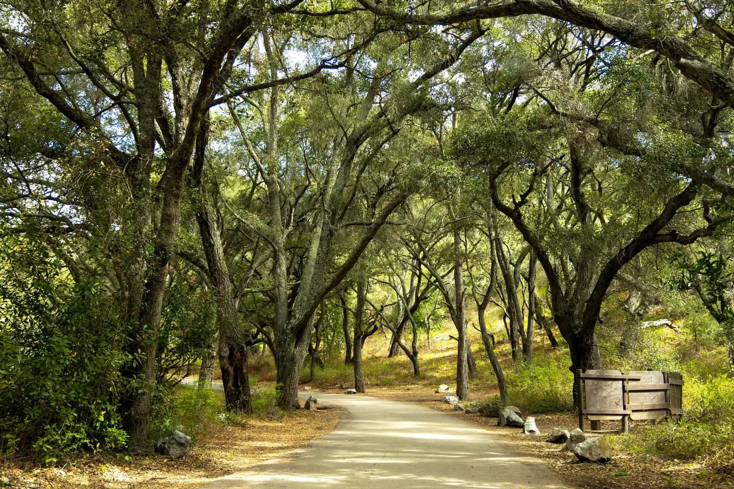 Cerro Alto Campground in California