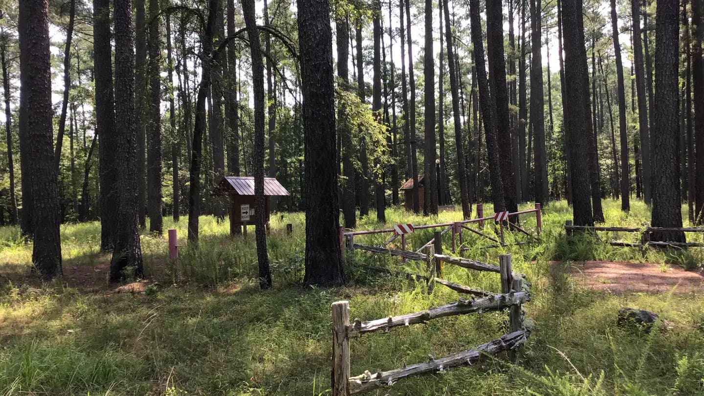Poulous Loop Group Campground (SC) campground