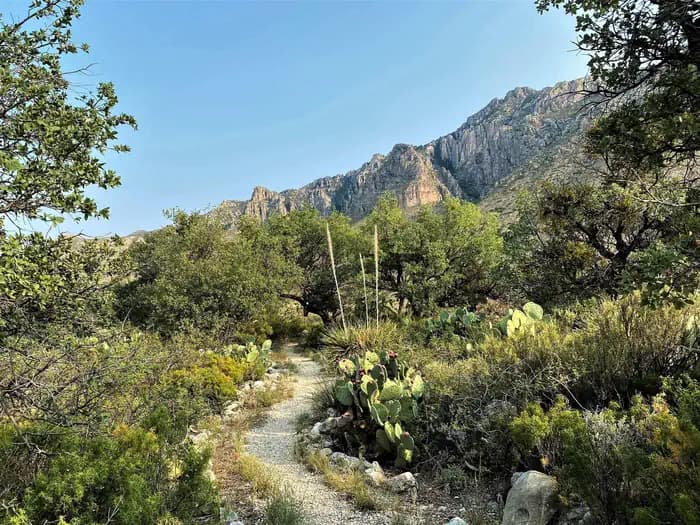 Pine Springs Campground in Texas