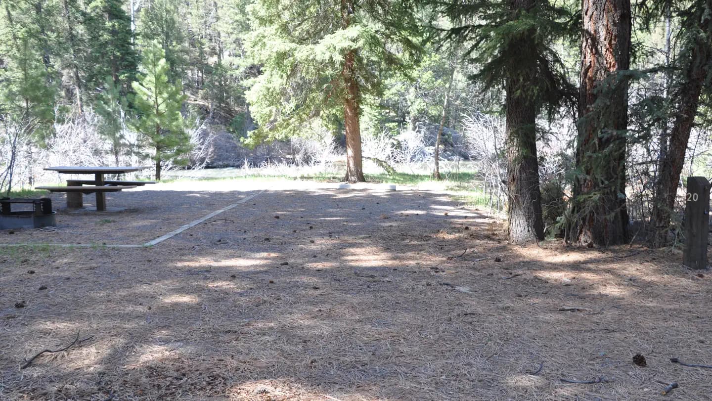 Aspen Glade (Rio Grande National Forest, CO) campground in Colorado
