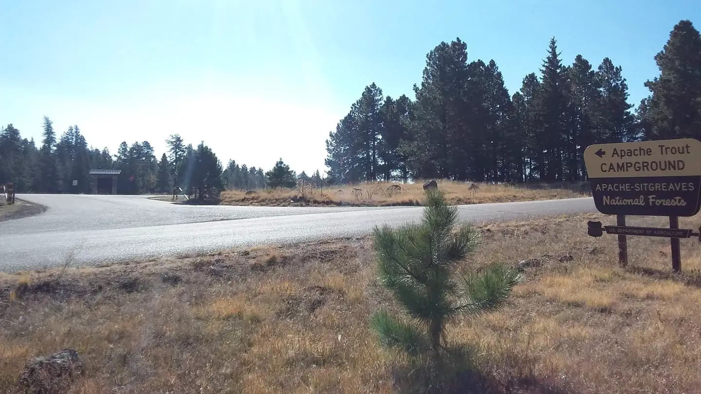 APACHE TROUT CAMPGROUND campground