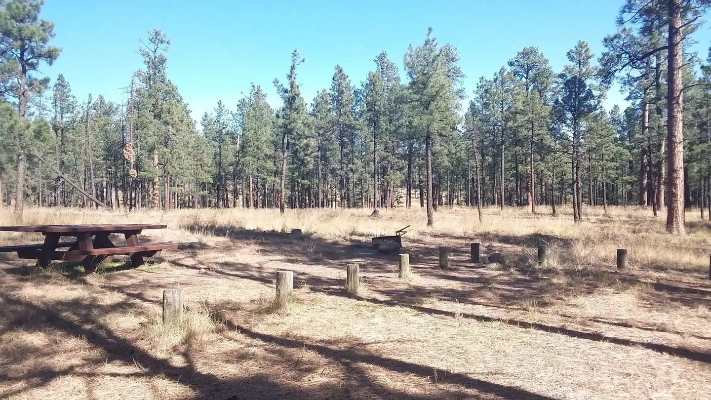 LUNA LAKE campground
