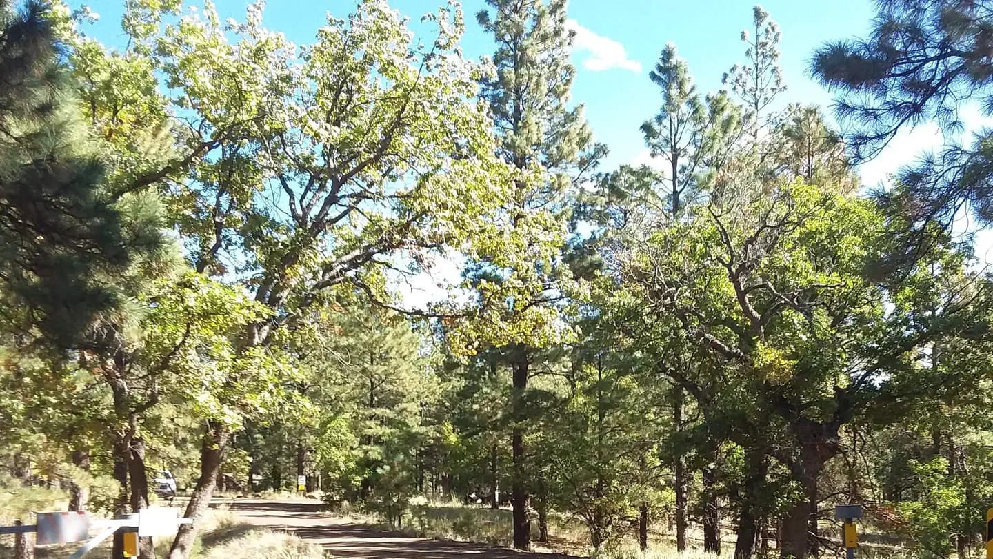 LITTLE ELDEN SPRINGS HORSECAMP campground
