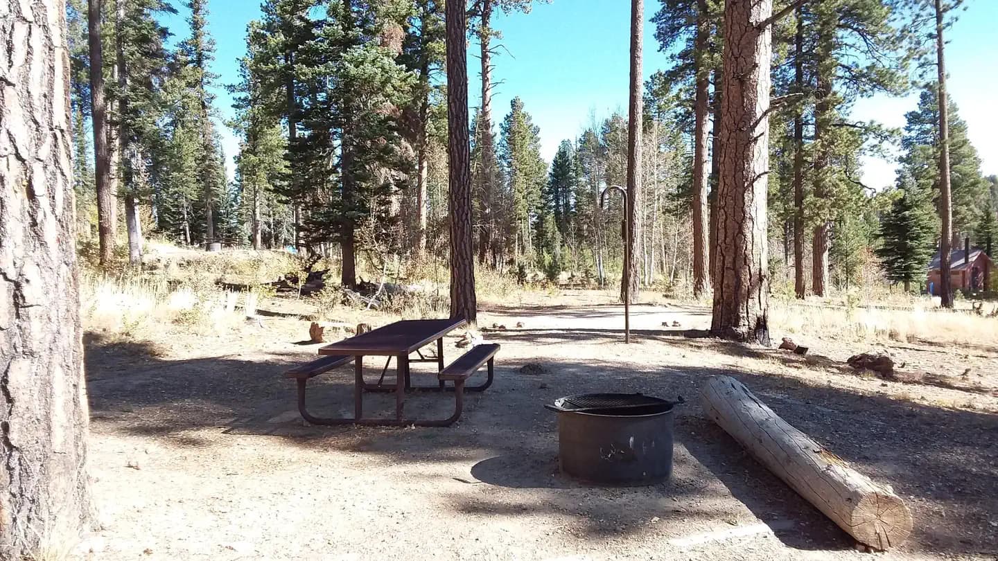Demotte Campground in Arizona