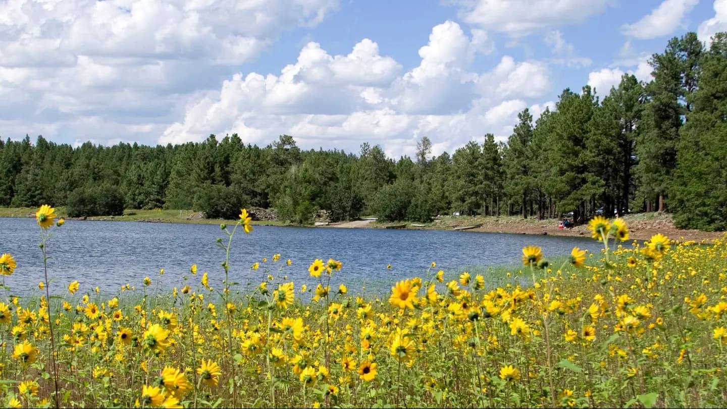 DOGTOWN LAKE CAMPGROUND AND GROUP campground