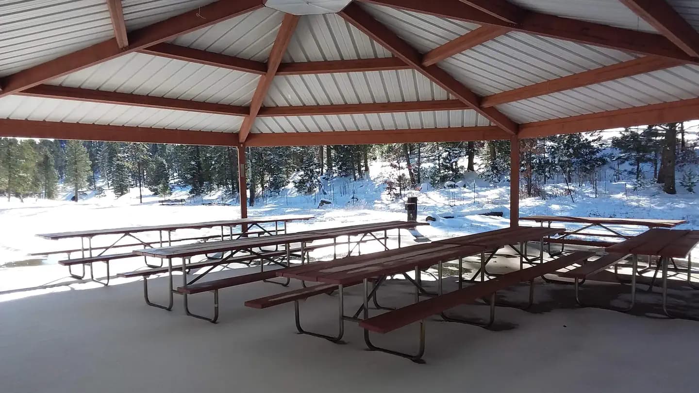 Lower Fir Group Area Campground in New Mexico
