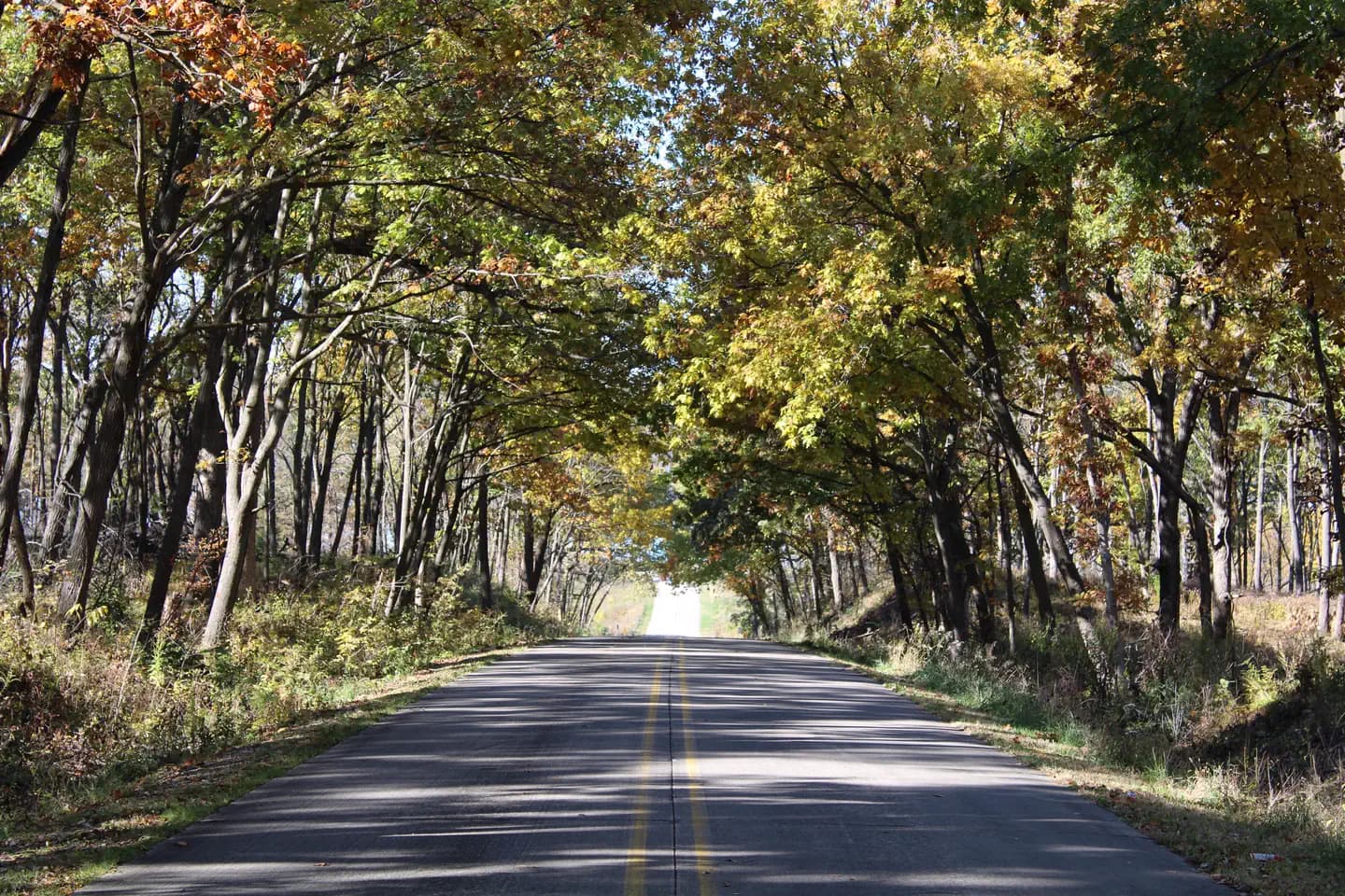OAK GROVE PICNIC AREA campground