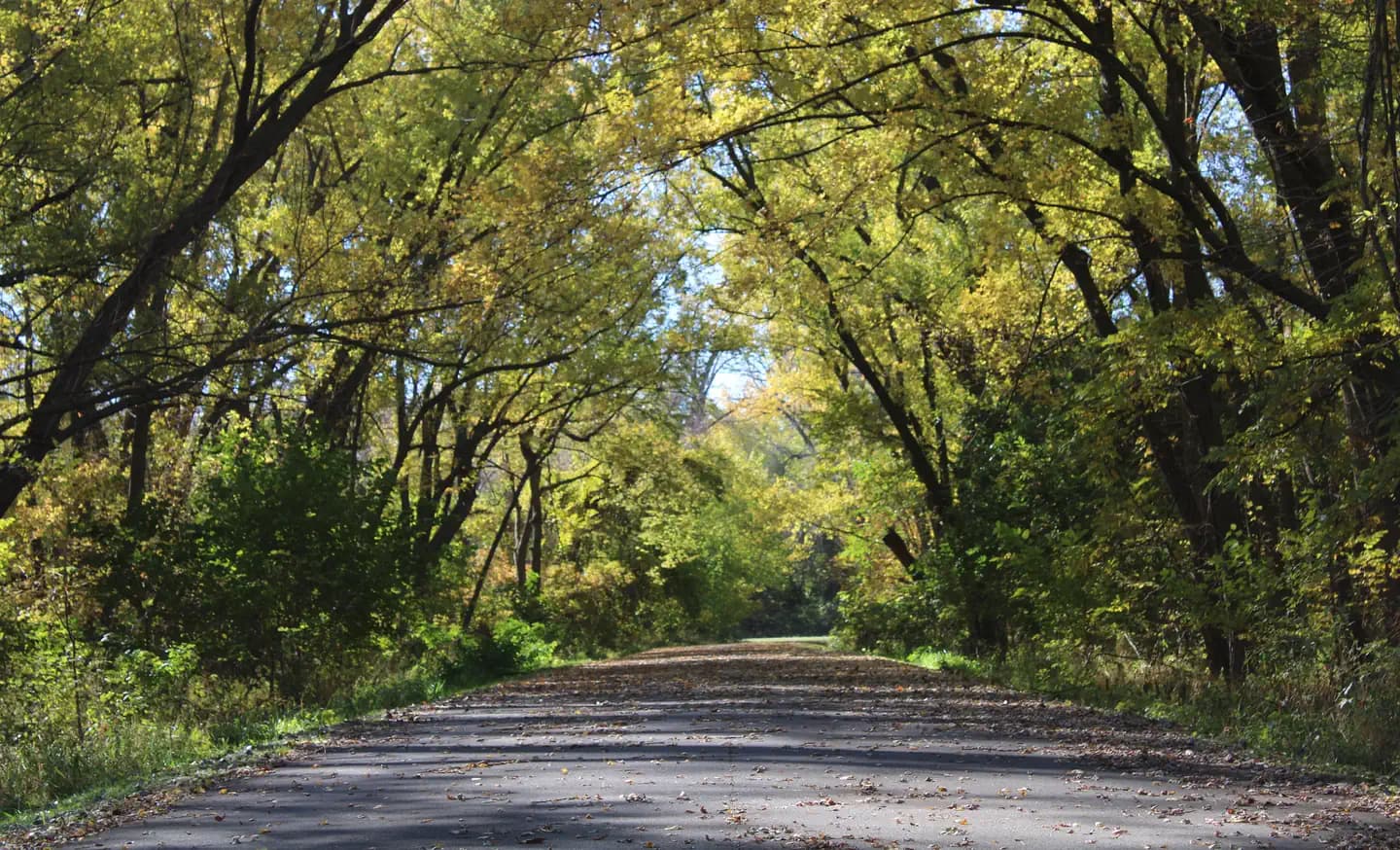 COTTONWOOD RECREATION AREA campground