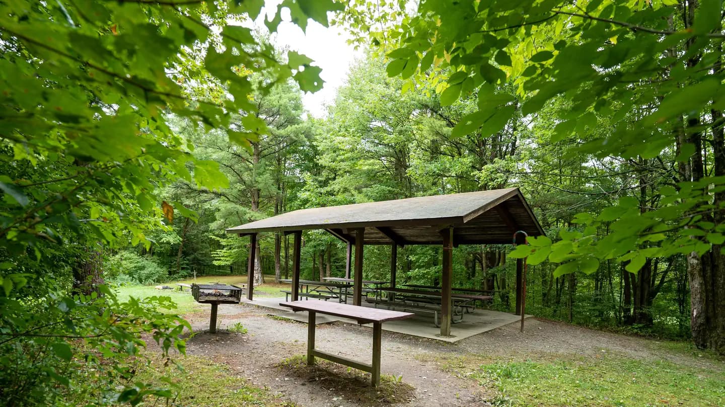 Potomac Group Campground in New York