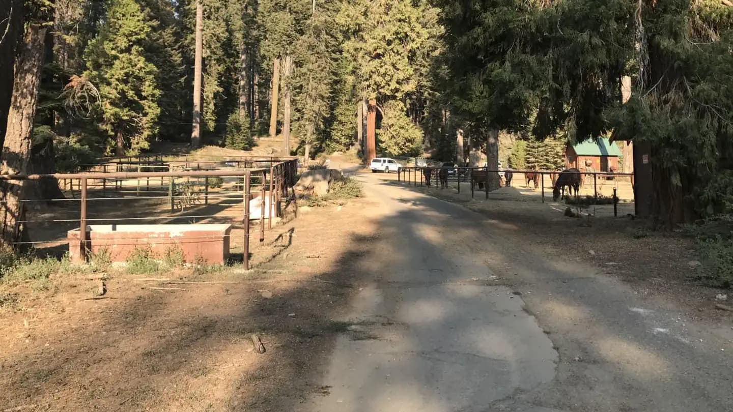 Wolverton Stock Campsites campground