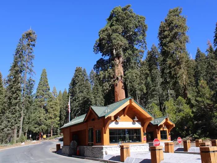 Crystal Springs Campground (CA) campground in California