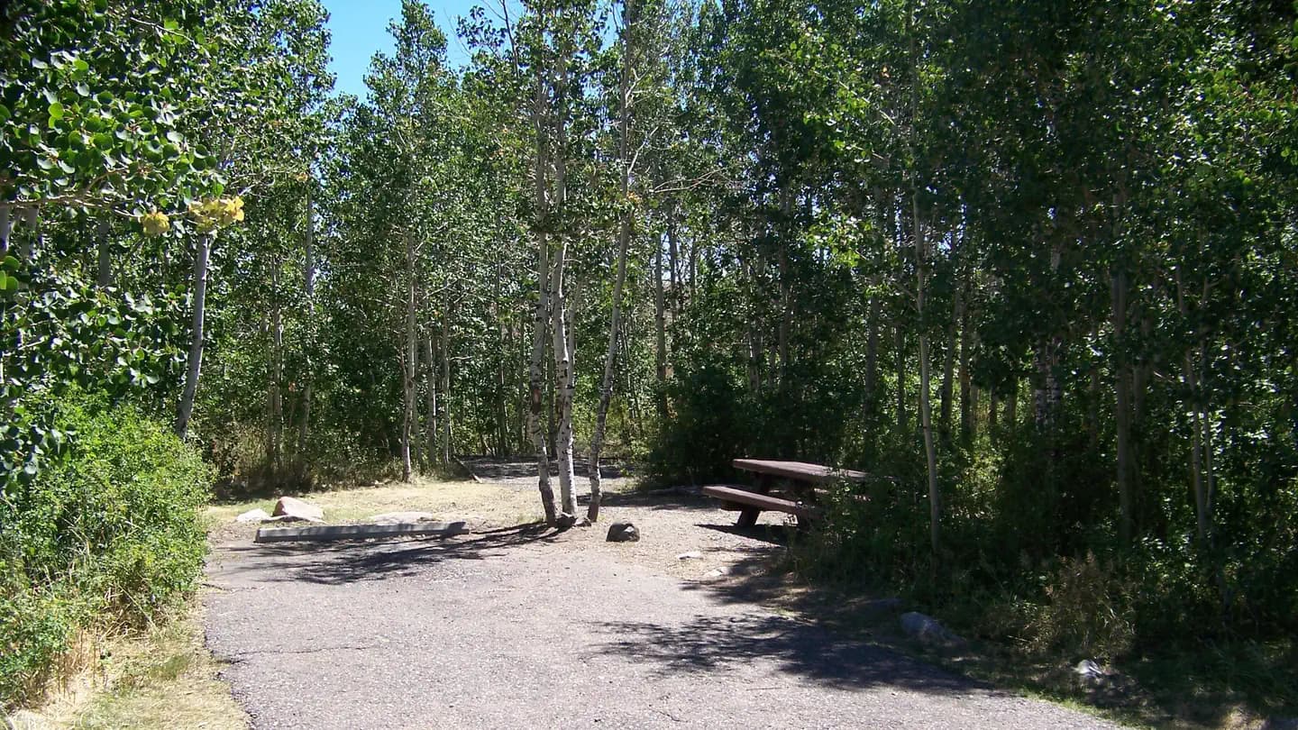 Angel Creek (Humboldt-Toiyabe National Forest, NV) campground