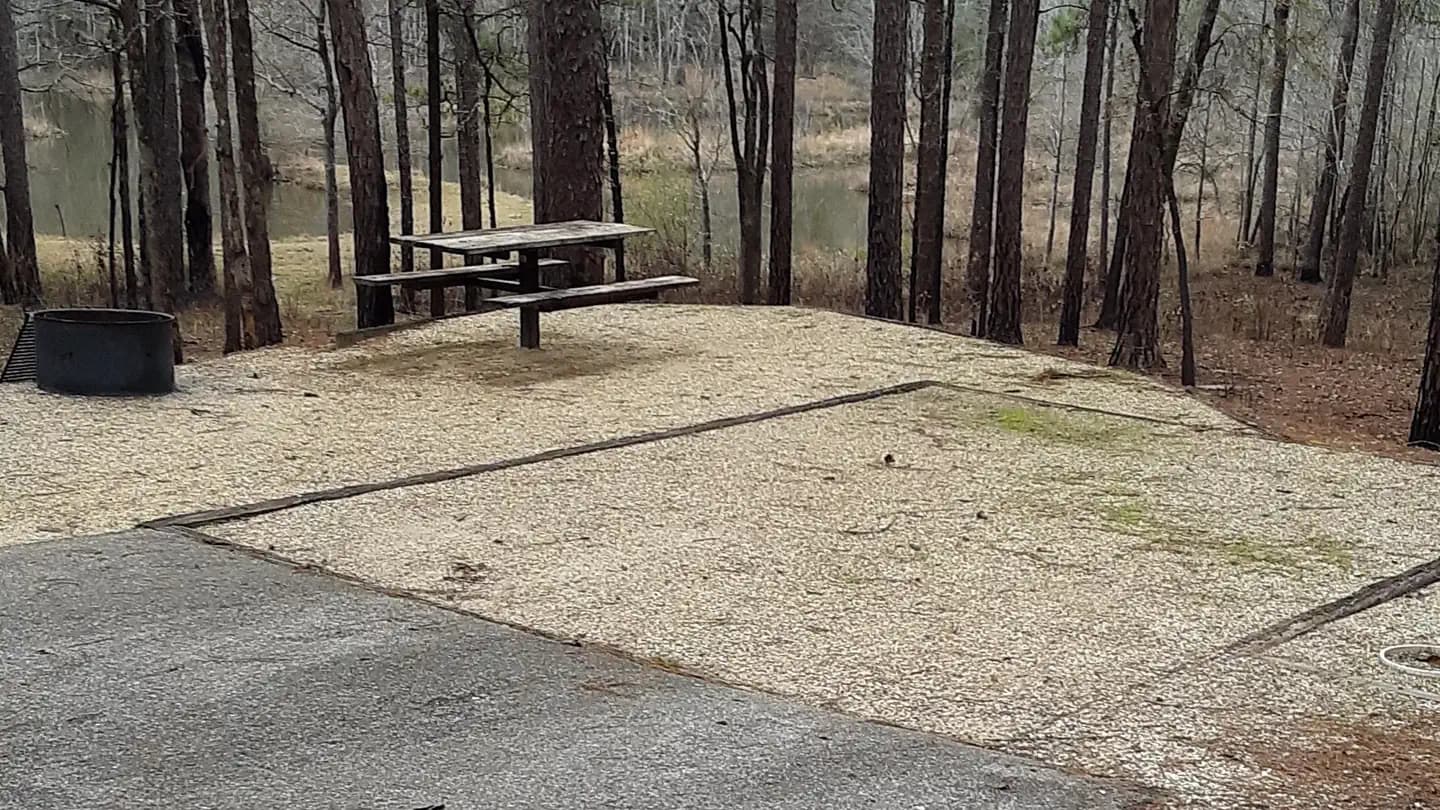 Turkey Fork Recreation Area campground