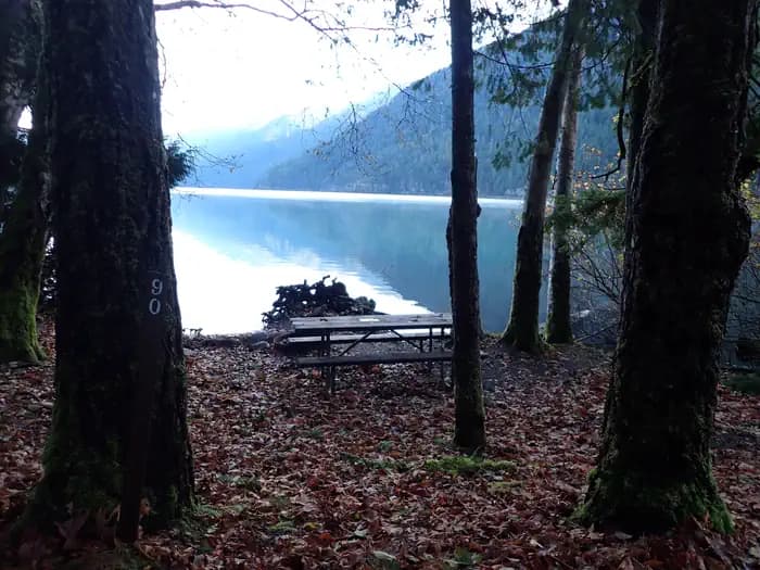 Fairholme Campground campground